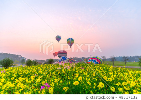 hot air balloons flying over Flower field hot air balloons flying over Flower field 48317132