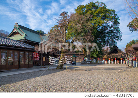 Shaolinyama Tamadera Temple Honjyo Gunma Prefecture Takasaki City 48317705