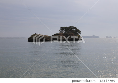 Matsushima Pleasure boat 48317769