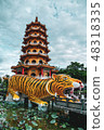 Dragon Tiger Tower - Tiger 48318335