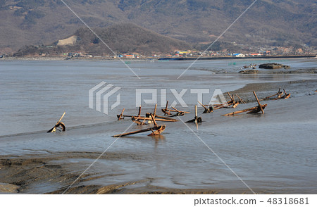 Tidal flats, dots, ebb tide 48318681