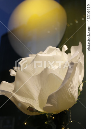 Moon and flowers Moon and flowers 48319419