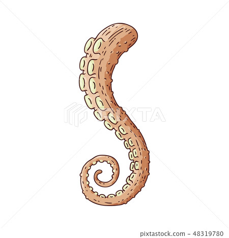 Vector ocopus or squid tentacle sketch icon 48319780