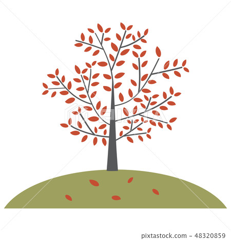 樹在小山的秋葉 48320859