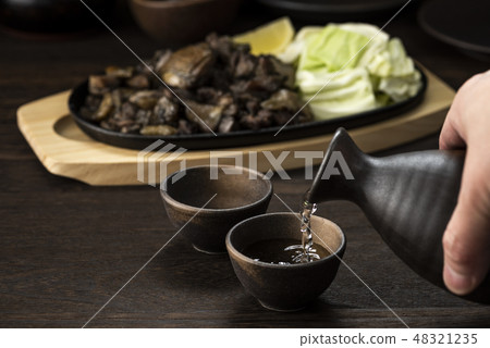 日本酒和雞肉烤 48321235