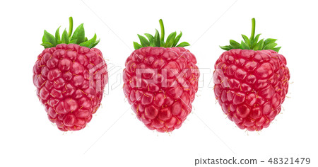One raspberry isolated on white background, collection 48321479