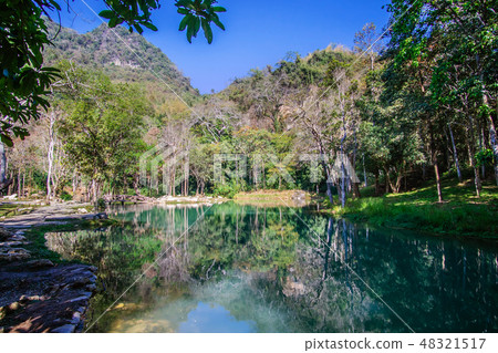 Swamp in Tham Luang ,Chiang Rai,Thailand Swamp in Tham Luang ,Chiang Rai,Thailand 48321517