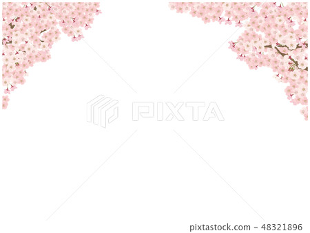 Cherry Tree Soy Yoshino Simple Background Stock Illustration