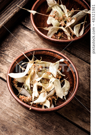 Herbs on wooden background 48321981