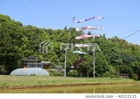 Rice paddies and carp streamers. 48322115