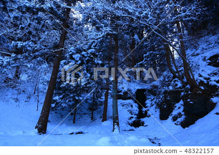 冬天的Kotaki先生 48322157