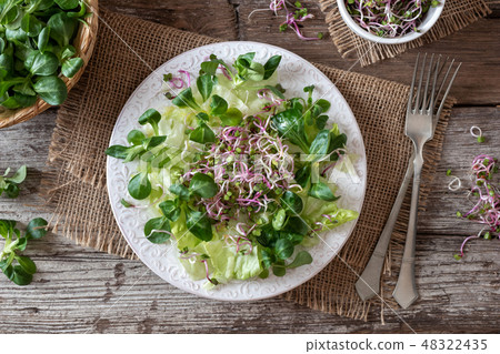Salad with lamb's lettuce and fresh radish sprouts 48322435