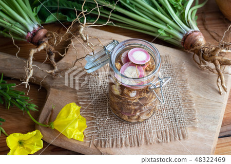 Preparation of tincture from evening primrose root 48322469
