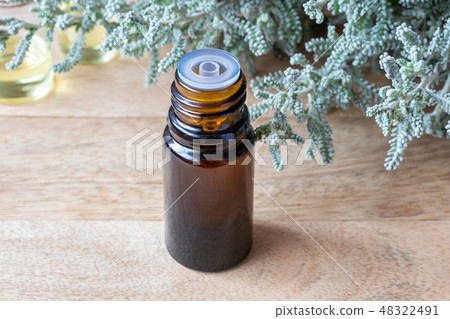 A bottle of santolina essential oil with Santolina 48322491