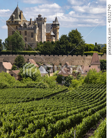 Chateau de Montfort - Dordogne - France Chateau de Montfort - Dordogne - France 48322740