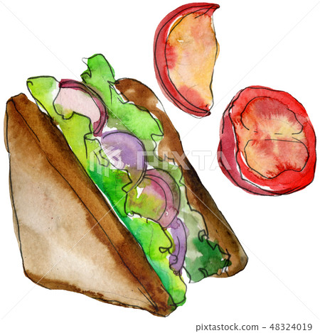 Sandwich in a watercolor style isolated set. Watercolour fast food illustration element on white 48324019