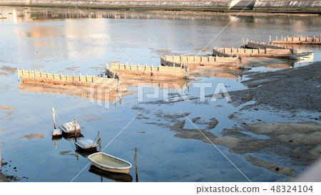 Muromi River white fish fishing field Muromi River white fish fishing field 48324104