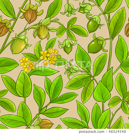 jojoba vector pattern 48324548