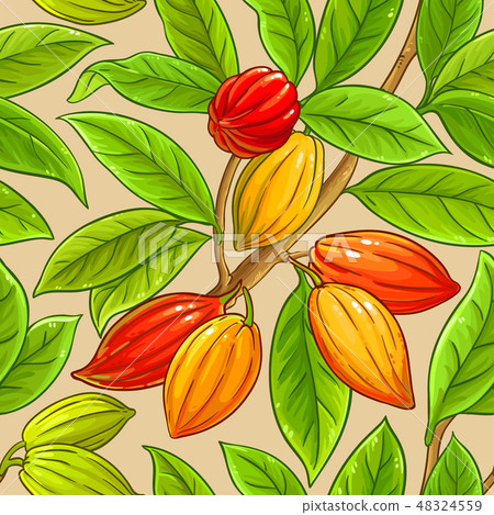cocoa vector pattern 48324559