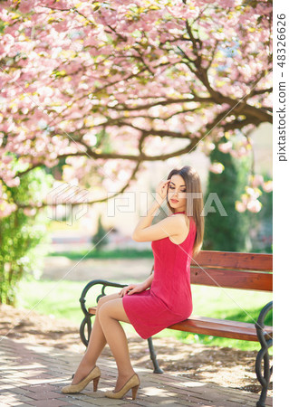 Young attractive girl sits on a bench. Background of blooming pink trees. Spring. Sakura Young attractive girl sits on a bench. Background of blooming pink trees. Spring. Sakura 48326626