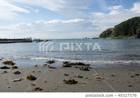 Nagisa of Kamehameha the Great of Miura Peninsula 48327576