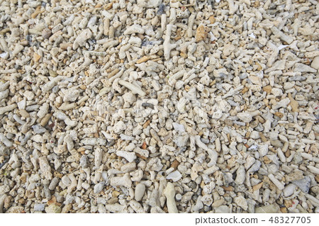 “沖繩縣”沙灘的珊瑚 “沖繩縣”沙灘的珊瑚 48327705