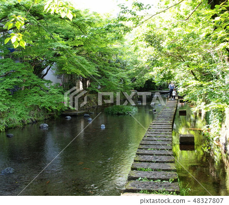 根貝河飄起初夏的氣味 根貝河飄起初夏的氣味 48327807