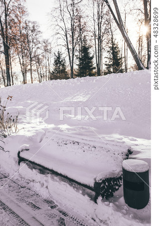 Park benches and trees in winter 48328699