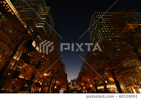 銀杏樹和辦公樓在晚上 銀杏樹和辦公樓在晚上 48330091