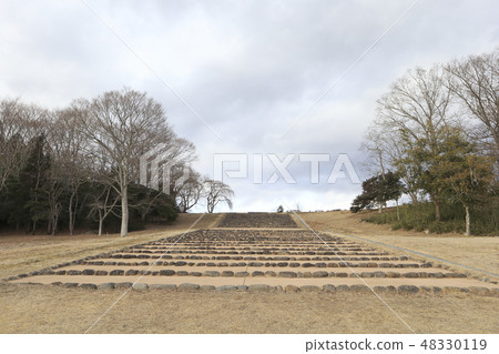 "Miyagi prefecture" Tagajo ruins "Miyagi prefecture" Tagajo ruins 48330119