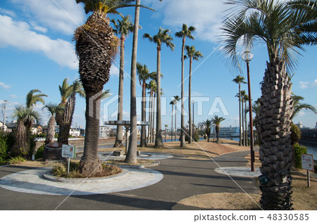Arako河公園的鳳凰島 Arako河公園的鳳凰島 48330585