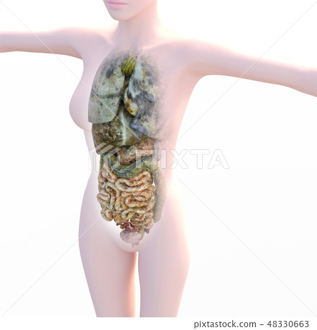 In-vivo image series (P1) visceral lesion image perming3DCG illustration material 48330663