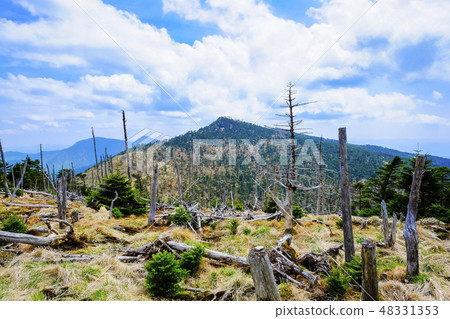 Mt. Yagogatake from Mt.Yayama 48331353