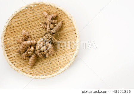 春薑黃 春薑黃 48331836