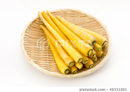 島胡蘿蔔 48331891
