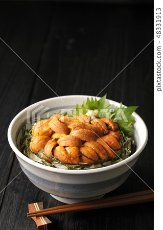 Sea urchin bowl 48331913