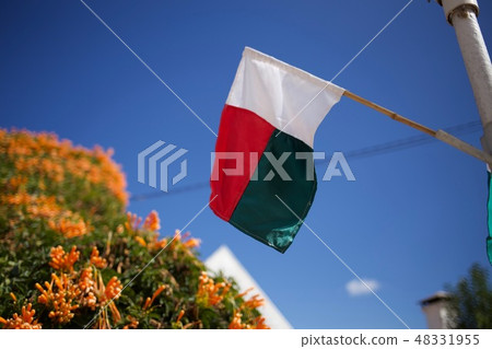 Flag of Madagascar Flag of Madagascar 48331955