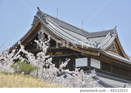青葉神社將軍Tsukae藍龍京都櫻花 48332015