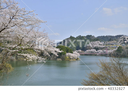 Tsukigase Lake Nabarikawa Yahidobashi Sakura Tsukigase Nara 48332827