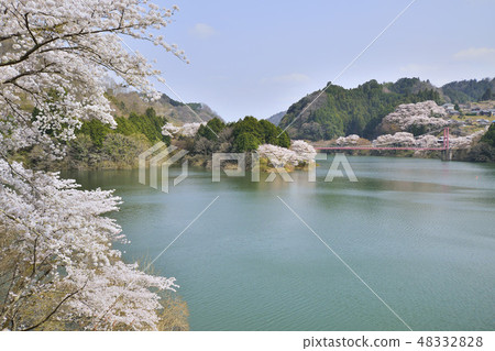 Tsukigase Lake Nabarikawa Yahidobashi Sakura Tsukigase Nara 48332828