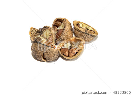 broken walnuts broken walnuts 48333860