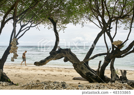 Handsome guy walking on tropical sand beach Handsome guy walking on tropical sand beach 48333865
