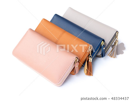 Closeup modern woman wallet fashion  48334437