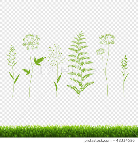 Green Grass Set Isolated Transparent Background 48334586