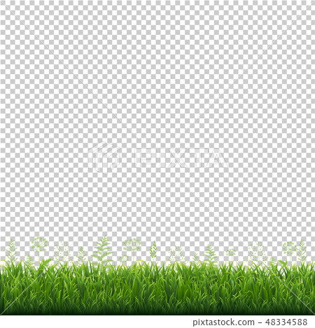 Green Grass Frame Transparent Background 48334588