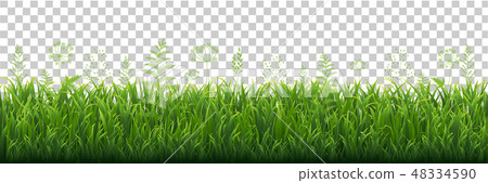 Green Grass Border With Transparent background 48334590