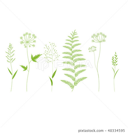 Grass Set Isolated 48334595