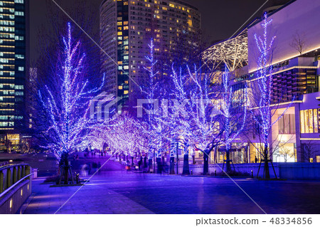 在標記之前點亮 48334856