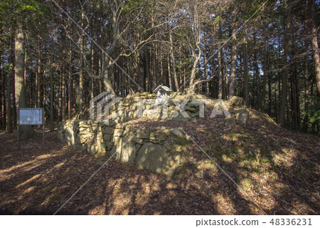 Ouchi Hikuma Kofun 48336231