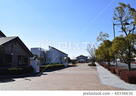 Cityscape of Itakura New Town, Gunma Prefecture 48336630